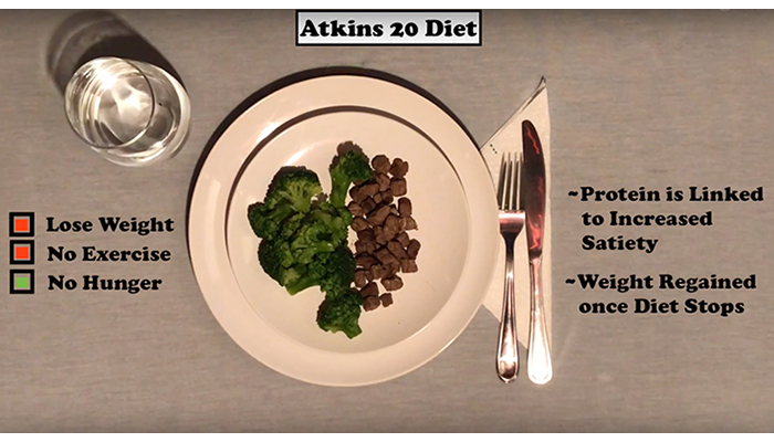 Atkins 20 Diet representation