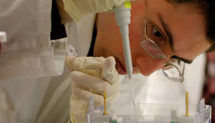 A researcher pipetting a sample