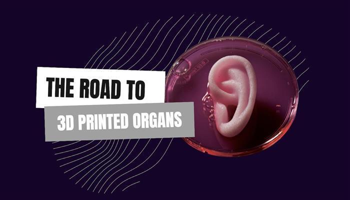3d printed organs