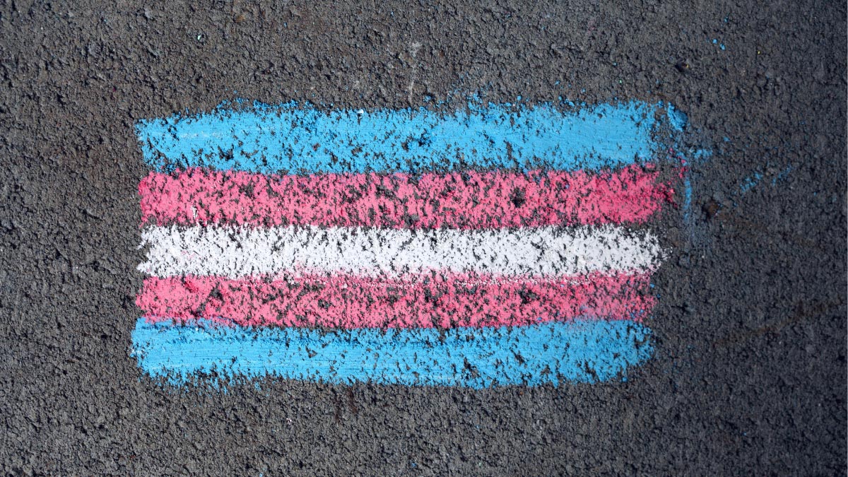 Transgender flag drawn in chalk on pavement