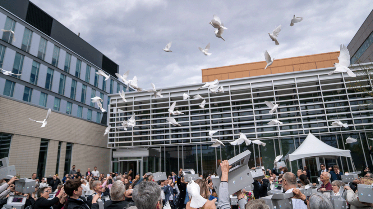 Doves are released and fly through the air outside of a building at McMaster University as part of a service of gratitude for individuals who bequeathed their bodies for medical research and education.