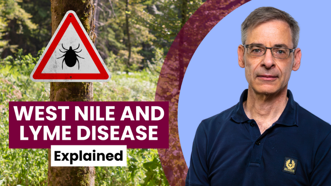 Mark Loeb to the right of text stating: West Nile and Lyme disease, explained.