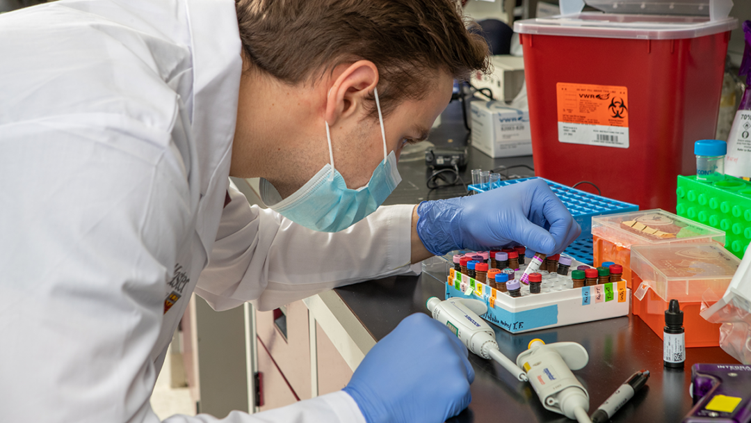 A student is looking at vials in a laboratory. They are wearing a white lab coat and blue gloves and a mask.