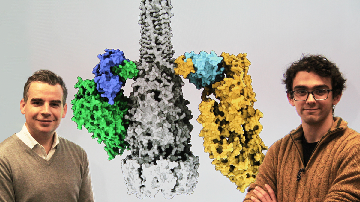 Two researchers pose in front a television screen, which displays a 3D rendering of bacterial proteins.